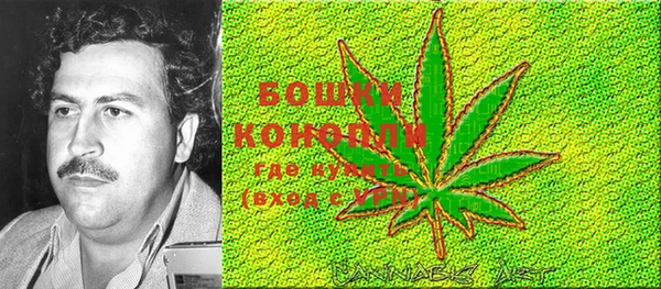 молекула духа Вязьма