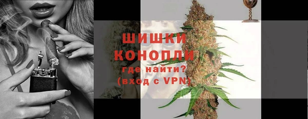 молекула духа Вязьма