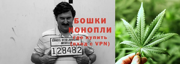 трава Вяземский