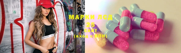молекула духа Вязьма