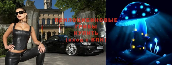 молекула духа Вязьма